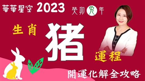 生肖豬2023|【屬豬2023生肖運勢】運勢風生水起，有閃婚可能｜ 